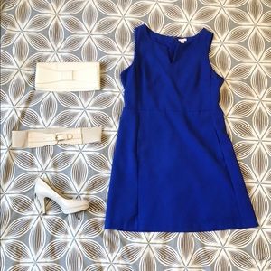 Blue classic cut Gap dress sz 14